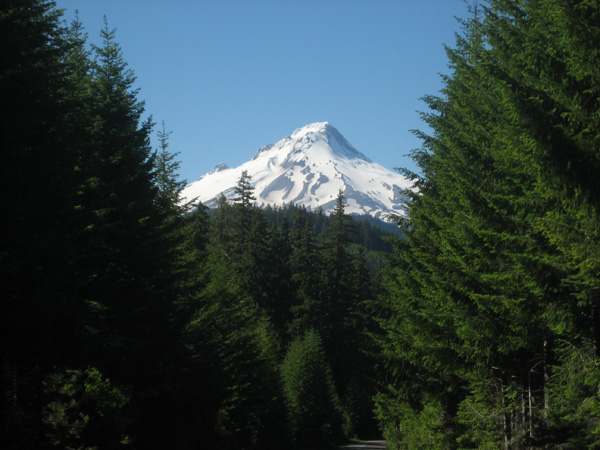 Mount Hood from NFSR 43