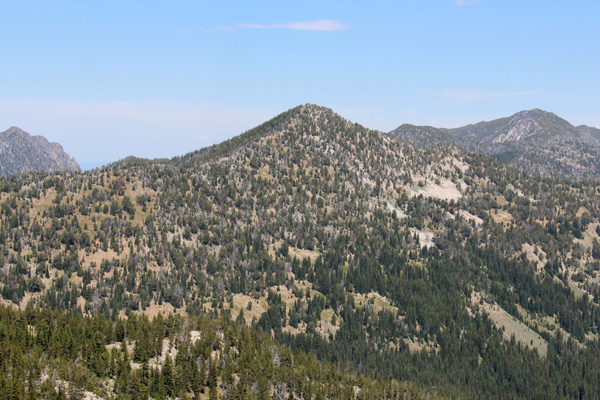 Peak 8428 from the Elkhorn Crest Trail