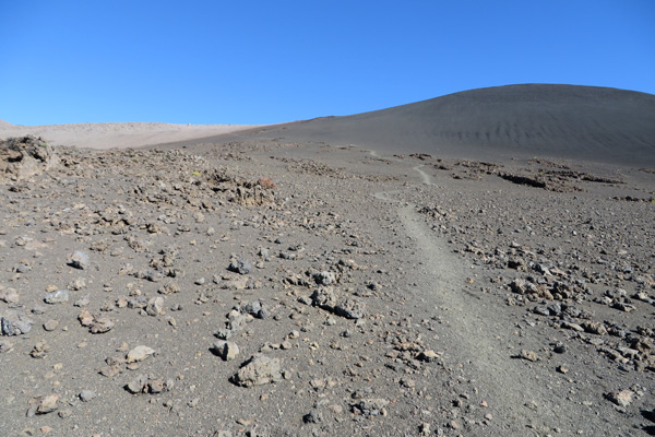 Low on the Humu'ula Trail
