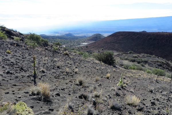 Mauna Kea Visitor Information Station from the Humu'ula Trail