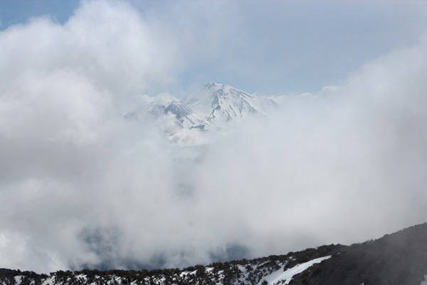 Mount Shasta from Mount Eddy