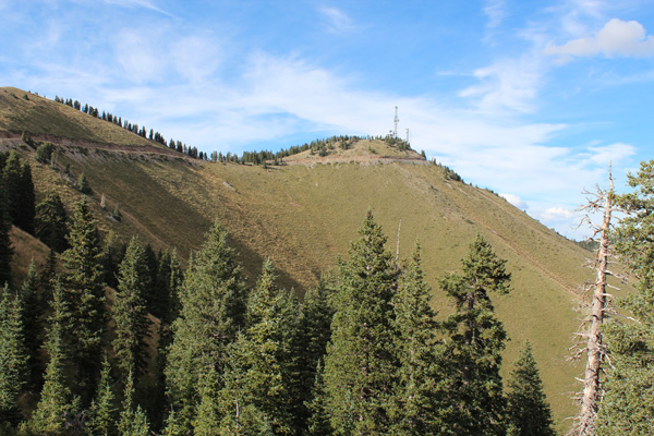 The summit of Abajo Peak from my camp beside the summit road