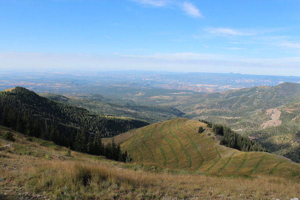 Looking towards Glen Canyon National Recreation Area from the Abajo Peak summit road
