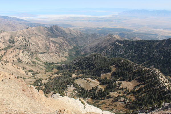 Looking down into Dry Lake Fork and the South Willow Canyon beyond from Deseret Peak summit