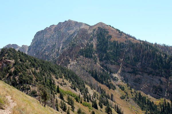 A view of the north face of Deseret Peak from my descent route.