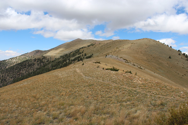 Mount Ellen from the Mount Ellen Trailhead at Bull Creek Pass