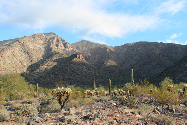 Sierra Estrella from the end of the Jeep trail