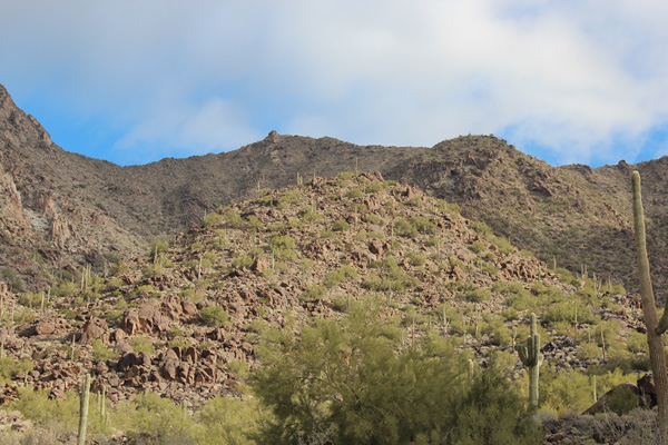 Looking up the ridge we ascended