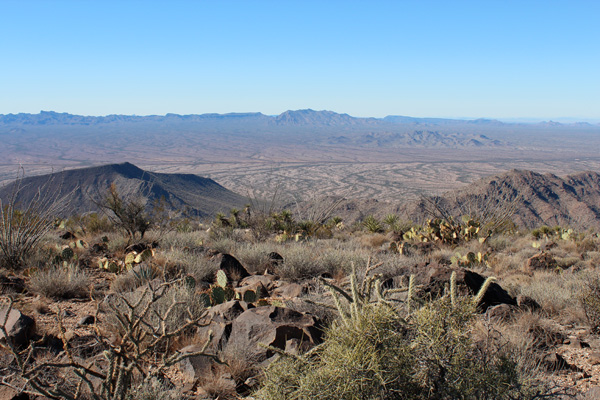 View west of the Vekol Valley from the SW summit