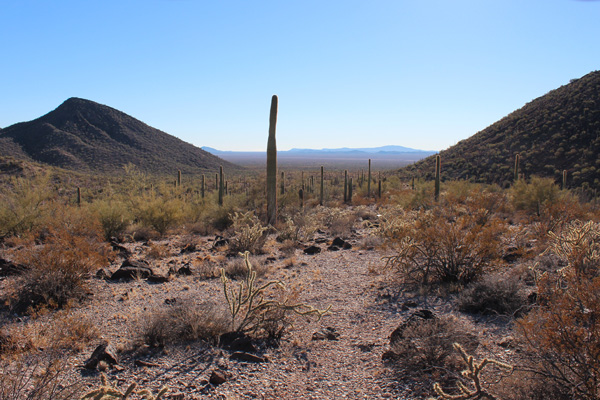 Approaching the trailhead in the afternoon