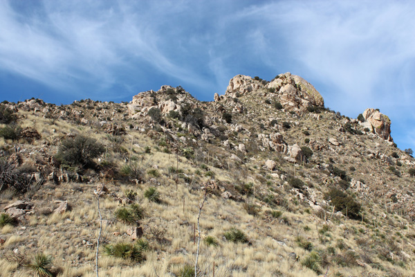 We reached a saddle then ascended the ridge above