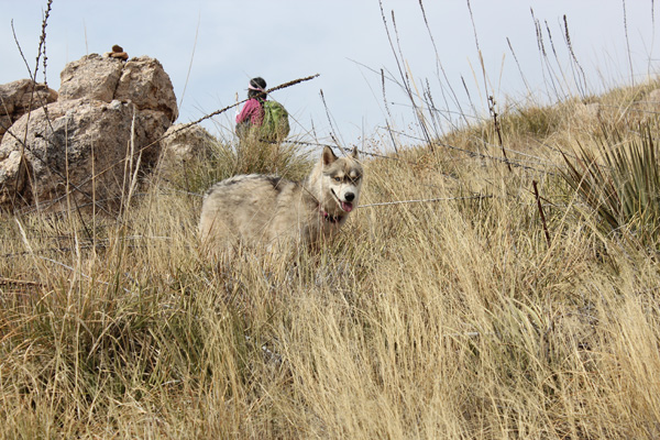 "Jo" accompanied us all day