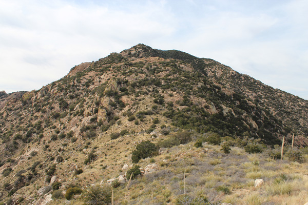 Coyote Mountain summit?