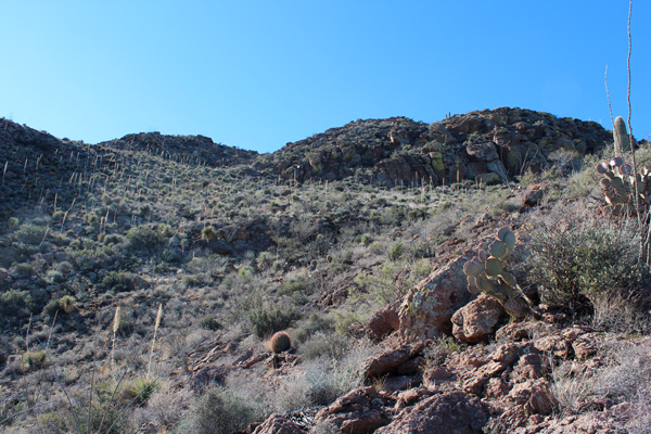 Approaching the Golden Gate Mountain summit