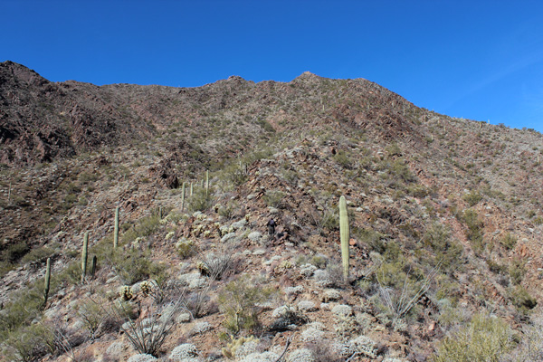 About mid-way up our ridge ascent route