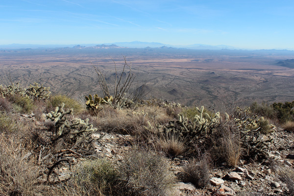 Looking east from Gu Achi Peak towards the Silver Bell, Santa Catalina, and Rincon Mountains.