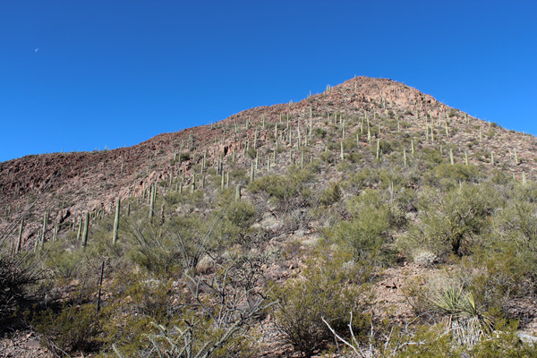 East Face of Martina Mountain