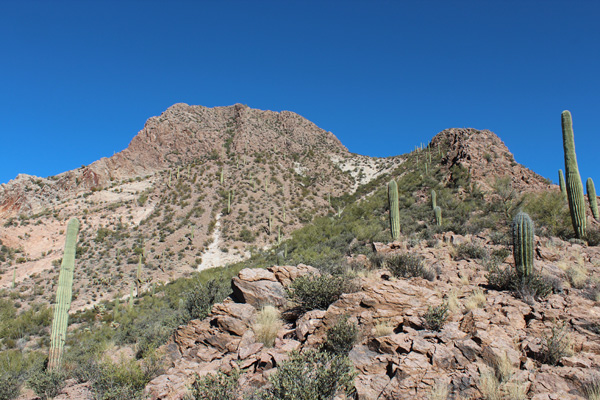 Looking up Sharp Peak from the saddle