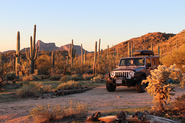 Morning light at camp