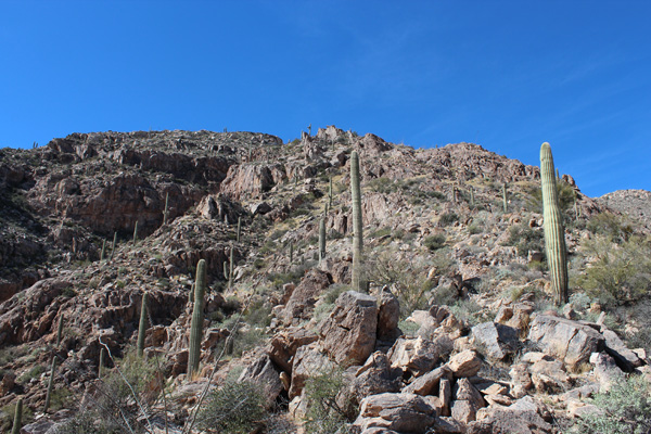 Looking up the ESE Ridge