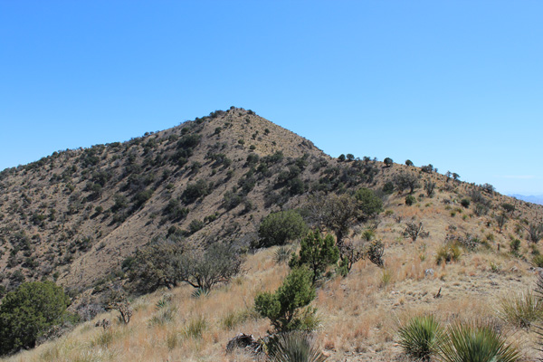 Swisshelm Mountain Summit from North Ridge