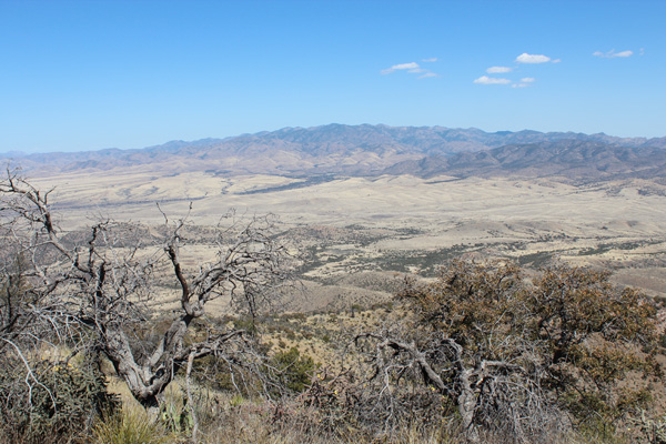 Chiricahua Mountains from Swisshelm Mountain