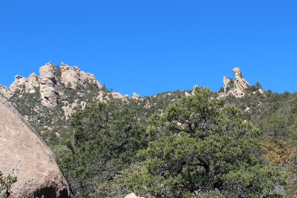 The summit of Pinnacle Ridge from out turnaround point