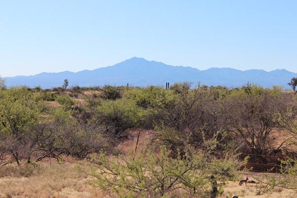 Mount Turnbull from US 70 north of Peridot, Arizona