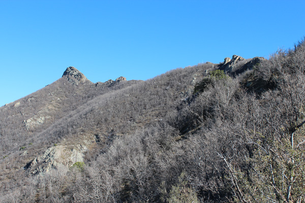 Mount Turnbull northern slopes and summit pinnacle from the trailhead