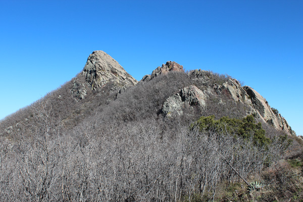 Mount Turnbull from the west ridge