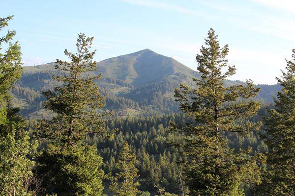 Big Lookout Mountain from Lookout Mountain Road