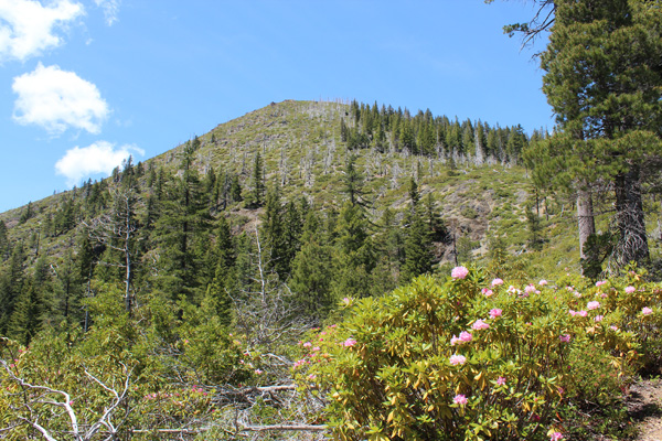 Mount Bolivar from near Trailhead