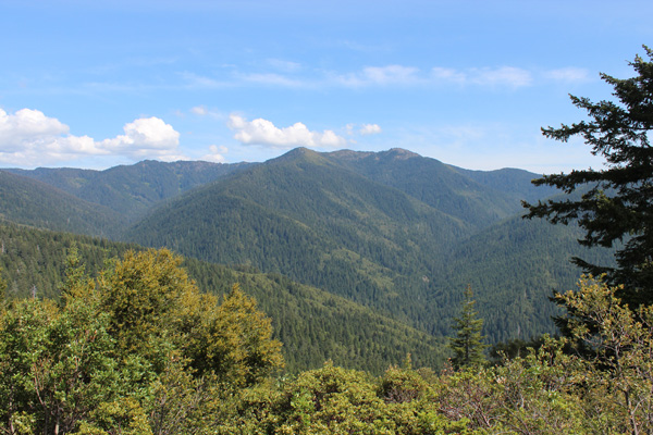 Brandy Peak from FR 23