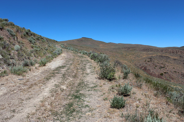 Cottonwood Mountain Lookout Road