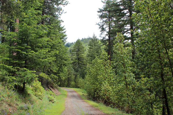 Mount Isabelle Summit Road