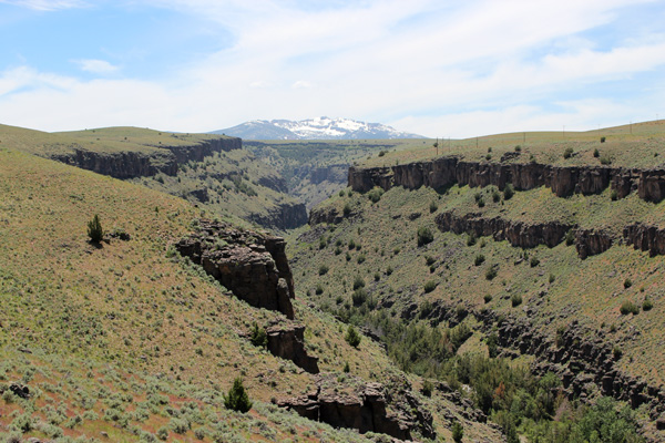 Jarbidge Mountains from above the East Fork Jarbidge River