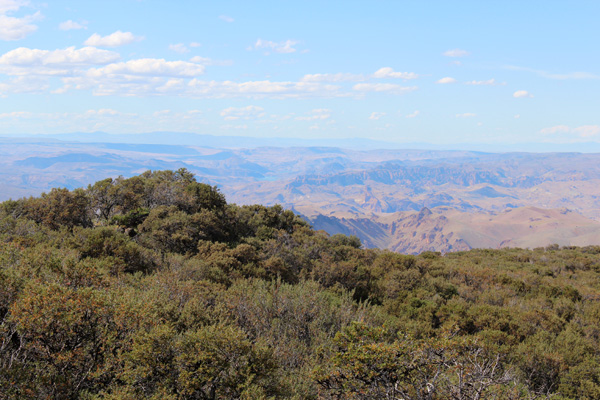 Lake Owyhee and Leslie Gulch from Mahogany Mountain