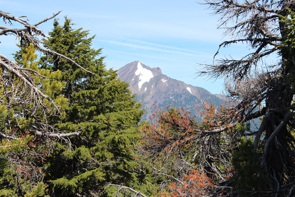 Mount McLoughlin from Brown Mountain