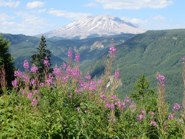 Mount Saint Helens from near Clearwater Viewpoint