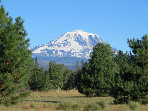 Mount Adams from Glenwood, WA