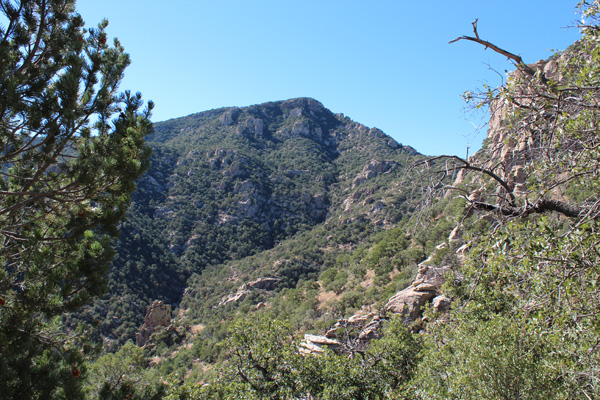 Mount Kimball from the end of the Ventana Canyon Trail