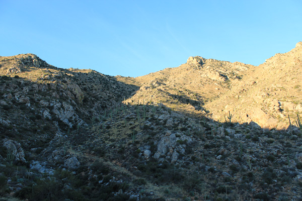 Looking up the rocky and brushy rib climbing towards the saddle above