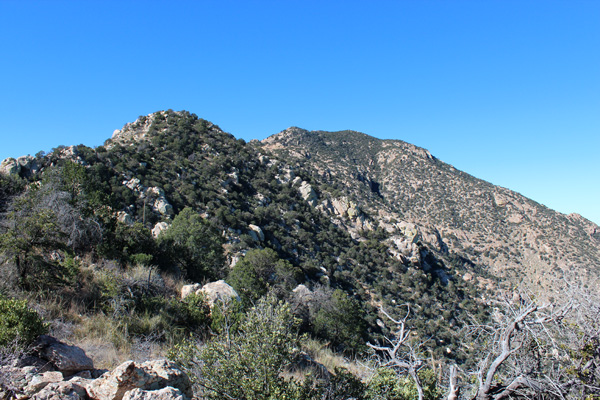 Coyote Mountains Highpoint from the East Ridge