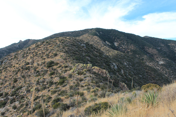 Upper East Ridge of Mount Glenn