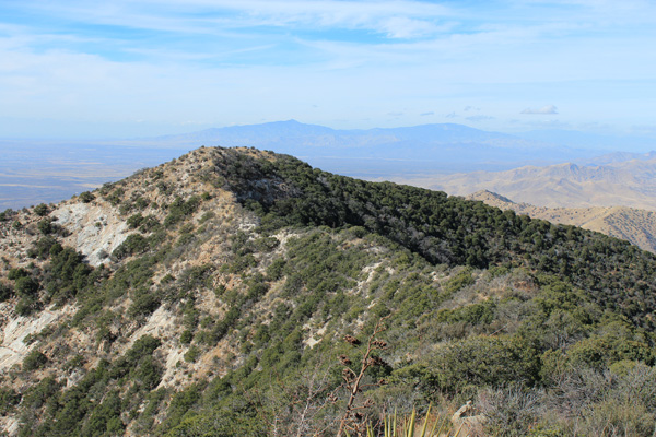 Northwest towards the Rincon Mountains