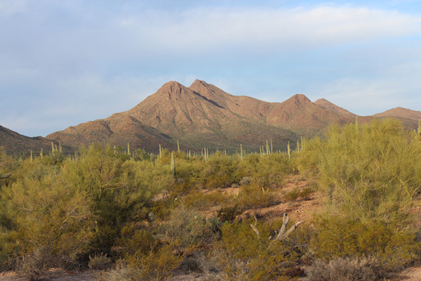 Silver Bell Peak from the Jeep road