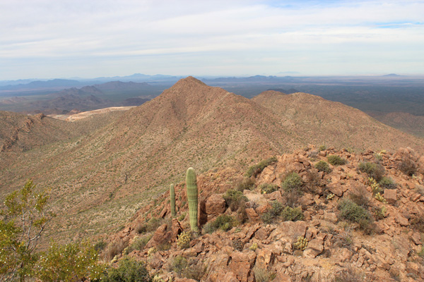 Looking North from Silver Bell Peak