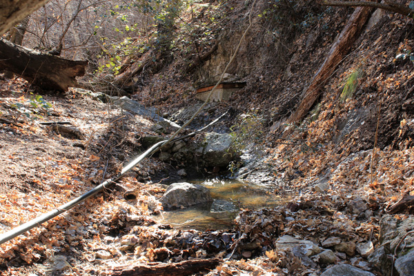 Upper Ash Spring