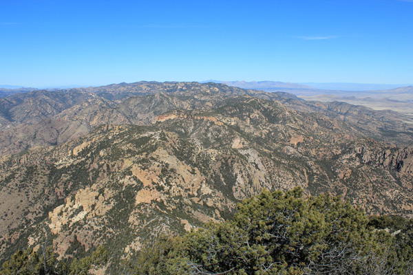 Looking north along the crest of the Galiuro Mountains