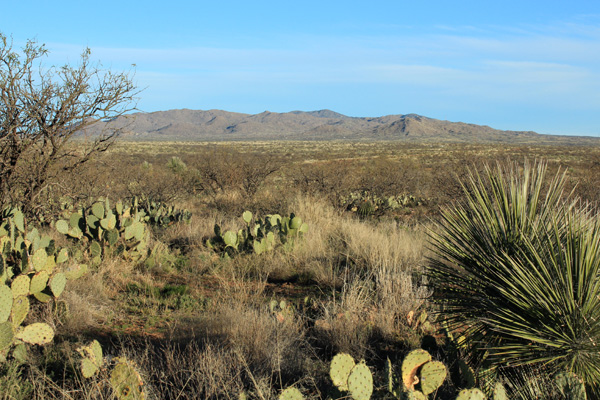 Black Mountain from Willow Springs Road, northwest of Oracle, Arizona
